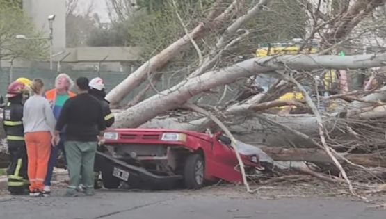Cruce entre Vialidad y Maipú tras la muerte de una mujer aplastada por un árbol