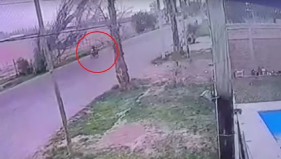 Un árbol cayó sobre un delivery en Las Heras y otro sobre una niña en San Martín