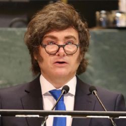 A dos años de gestión, Milei llega a las elecciones con inflación baja y economía frágil