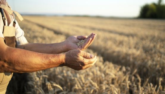 Federación Agraria: “La baja de retenciones no beneficia al campo chico"