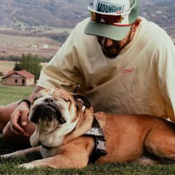 Murió Roscoe, el fiel bulldog de Lewis Hamilton