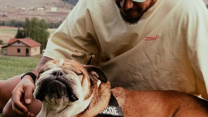Murió Roscoe, el fiel bulldog de Lewis Hamilton