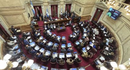 El Senado aprobó una limitación para el uso de los DNU