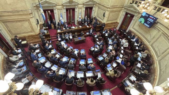 El Senado aprobó una limitación para el uso de los DNU
