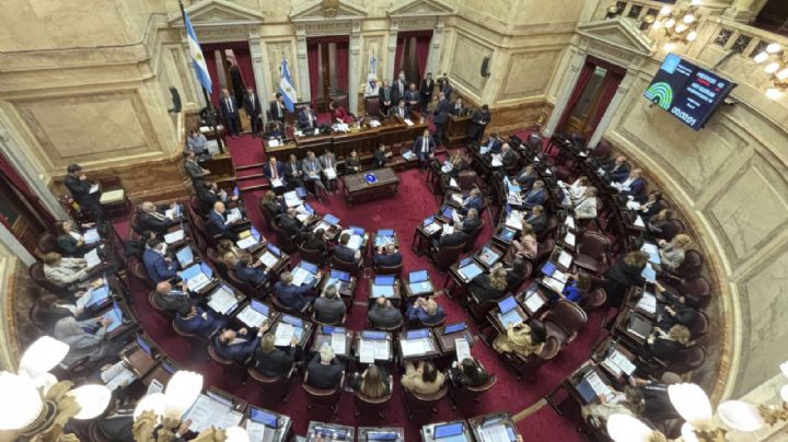 El Senado aprobó una limitación para el uso de los DNU