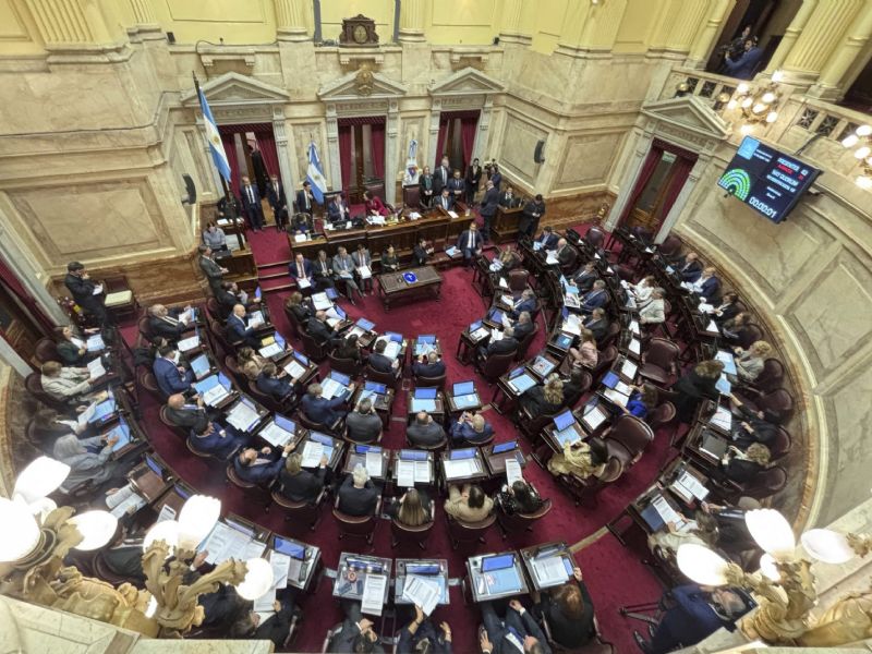 El Senado aprobó una limitación para el uso de los DNU