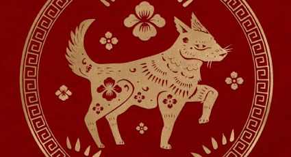Horóscopo chino: los signos marcan tu futuro para este fin de semana