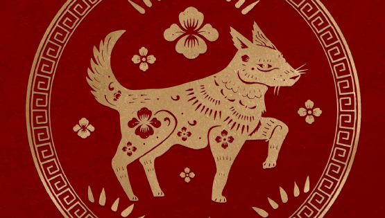 Horóscopo chino: los signos marcan tu futuro para este fin de semana