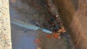 Foto ilustrativa de la nota titulada: Luján de Cuyo: vecinos reclaman por una fuga de agua que lleva años sin solución