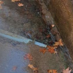 Luján de Cuyo: vecinos reclaman por una fuga de agua que lleva años sin solución