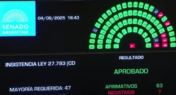Discapacidad: el Senado rechazó el veto de Milei