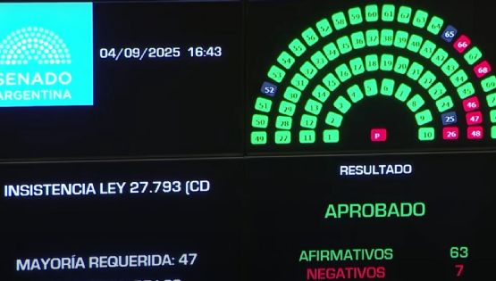 Discapacidad: el Senado rechazó el veto de Milei