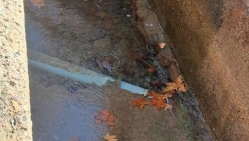 Luján: vecinos reclaman por una fuga de agua que lleva años sin solución