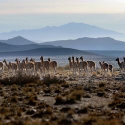 Cómo va a estar el tiempo el martes en Mendoza