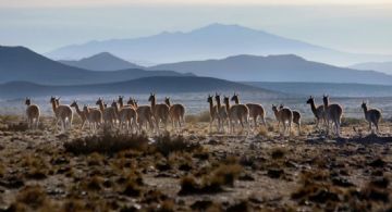 Así va a estar el tiempo en el fin de semana en Mendoza