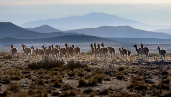 Pronóstico: se espera un fin de semana caluroso en Mendoza
