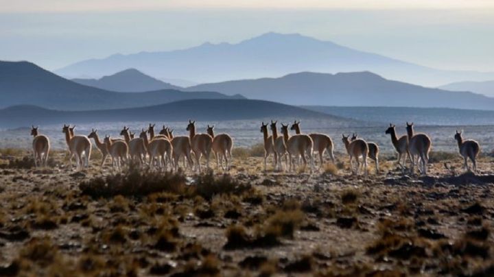 Cómo va a estar el tiempo el martes en Mendoza