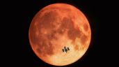 Foto ilustrativa de la nota titulada: Qué efecto tendrá el eclipse lunar en las personas según la Astrología