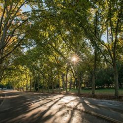 El domingo llega con sol y un ascenso de la temperatura