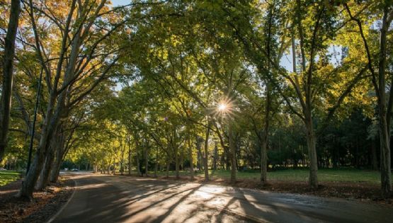 El domingo llega con sol y un ascenso de la temperatura
