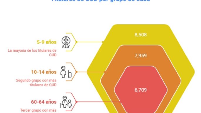 Bajó la entrega de certificados y pensiones para discapacitados en Mendoza