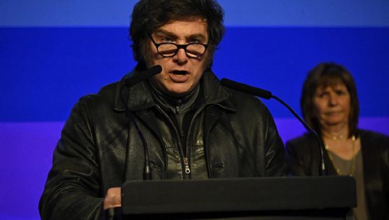 Alerta para Milei: su imagen positiva se desploma