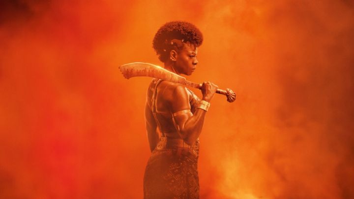 Cómo es "La mujer rey", la épica película que estrenó Netflix