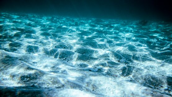 Las maravillosas montañas "al revés" en el fondo del océano