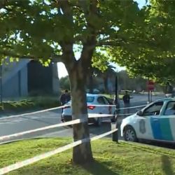 Nordelta: operativos para desalojar a los carpinchos y protestas de vecinos