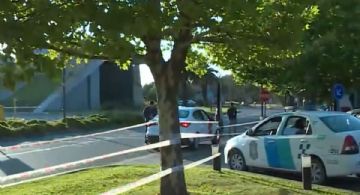 Nordelta: operativos para desalojar a los carpinchos y protestas de vecinos