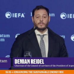 Incendios en la Patagonia y el carpetazo a un funcionario de Milei: "El problema es que está poblada por argentinos”