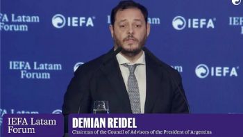 Incendios en la Patagonia y el carpetazo a un funcionario de Milei