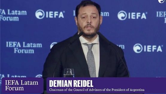 Incendios en la Patagonia y el carpetazo a un funcionario de Milei: "El problema es que está poblada por argentinos”