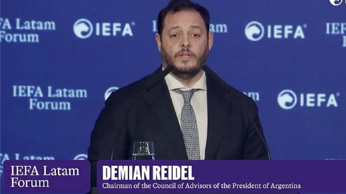 Incendios en la Patagonia y el carpetazo a un funcionario de Milei: "El problema es que está poblada por argentinos”