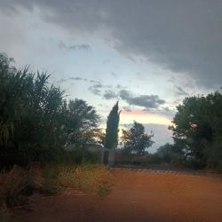 A ciegas: las malezas que tapan las vías del tren en Luján