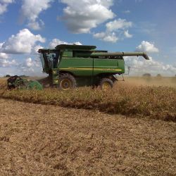 La producción de granos generaría US$ 36.800 millones en exportaciones