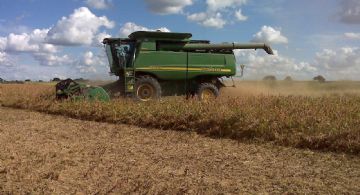 La producción de granos generaría US$ 36.800 millones en exportaciones
