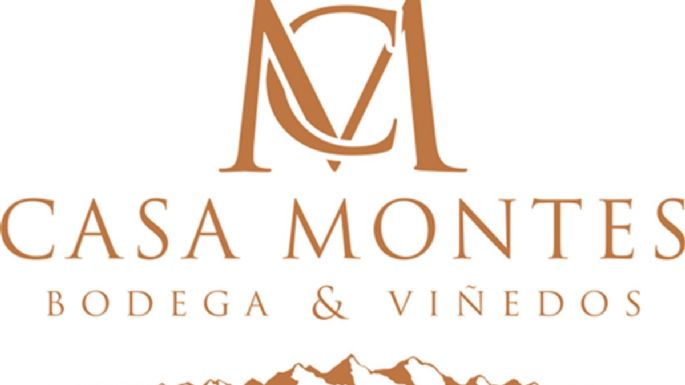 Tras la crisis de Nortón y Bianchi, otra importante bodega en problemas