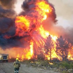 Gobernadores patagónicos el tratamiento “urgente” de la ley de Emergencia Ígnea