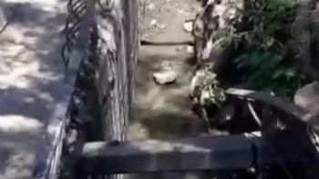 Alerta en Villa del Parque: aguas servidas y olores nauseabundos inundan la zona