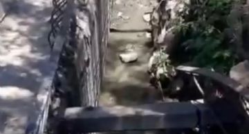 Alerta en Villa del Parque: aguas servidas y olores nauseabundos inundan la zona