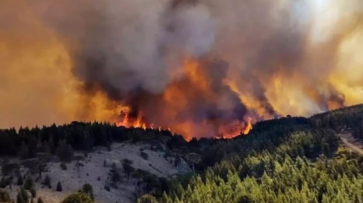 Incendios en la Patagonia: analizan sumar la Ley de Emergencia Ígnea al temario de las extraordinarias 