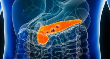 Científicos españoles lograron eliminar el cáncer de páncreas en ratones 