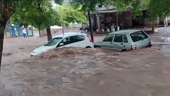 Temporal: se inundó Palmares y en Luján la lluvia arrastró dos autos 
