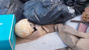 Macabro hallazgo causó alarma en Playa Grande de Mar del Plata