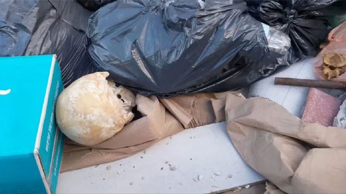 Macabro hallazgo causó alarma en Playa Grande de Mar del Plata