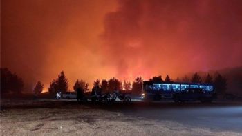 Incendio en Chubut: confirman que fue intencional e irán por los responsables