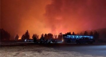 Los incendios en la Patagonia llevan casi 60 días y más de 40 mil hectáreas quemadas