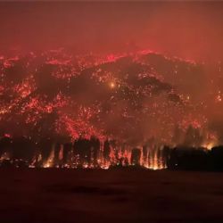 Incendios en El Hoyo: el intendente manifestó que todos los años “pasa lo mismo”