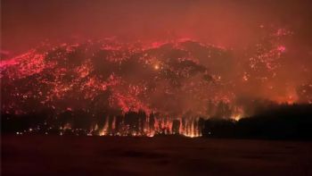 Incendios en la Patagonia: declaran la Emergencia Ígnea en cuatro provincias